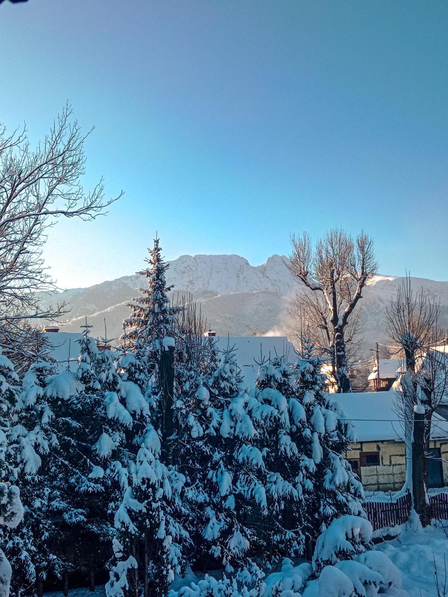 Privatunterkunft Wynajem Pokoi Goscinnych Zakopane